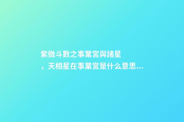紫微斗數之事業宮與諸星，天相星在事業宮是什么意思？